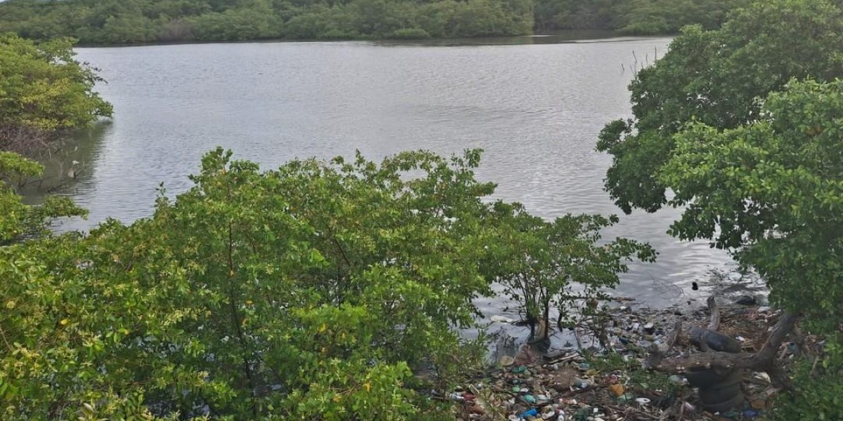 Jovem de 18 anos desaparece após se afogar no rio Anil em São Luís