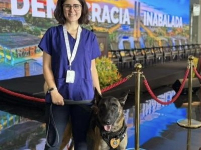 Veterinária atacada por cão do Senado não resiste e morre em Brasília