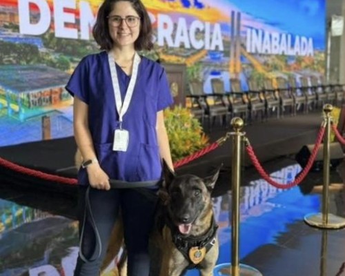 Veterinária atacada por cão do Senado não resiste e morre em Brasília