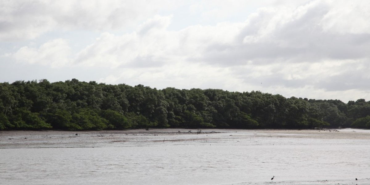 SEMA promove I Semana Estadual da Água no Maranhão