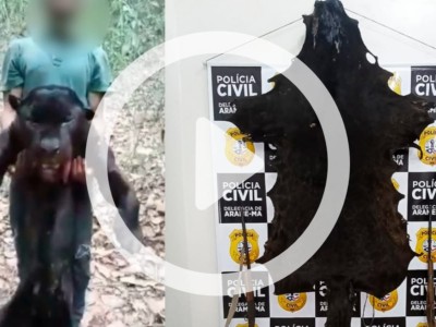 Homem é preso no Maranhão suspeito de matar onça e divulgar vídeo na internet