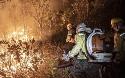 Mais de 200 incêndios são controlados pelo Ibama no Amazonas