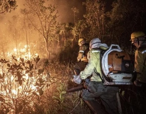 Mais de 200 incêndios são controlados pelo Ibama no Amazonas