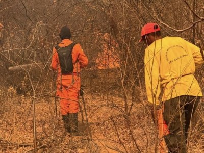 Corpo de Bombeiros registra quase 6 mil incêndios no Piauí em 2026; setembro lidera ocorrências