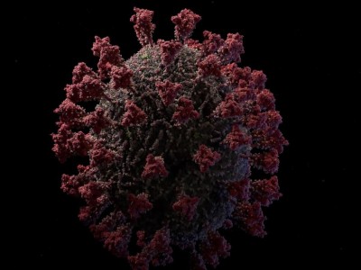 Identificada nova variante do Covid-19 no Maranhão