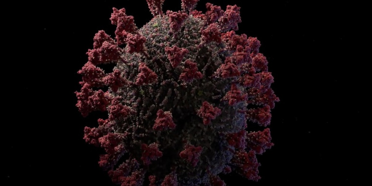 Identificada nova variante do Covid-19 no Maranhão