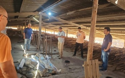 Polícia incinera cerca de 200 kg de drogas apreendidas em operações policiais no Maranhão
