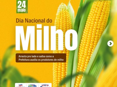 Prefeitura de Caxias adquiriu 34 toneladas de milho pelo PAA de 2020 a 2021