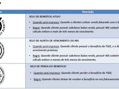 Mais de 300 mil clientes podem perder o benefício da Tarifa Social Baixa Renda na conta de energia 