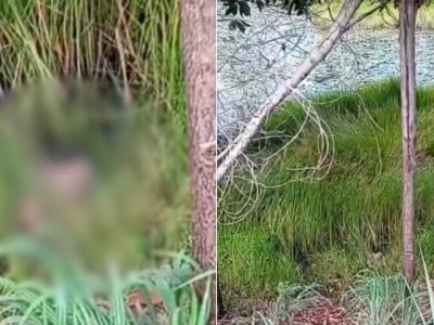 Cabeça humana é encontrada às margens de córrego na zona rural de Cidelândia
