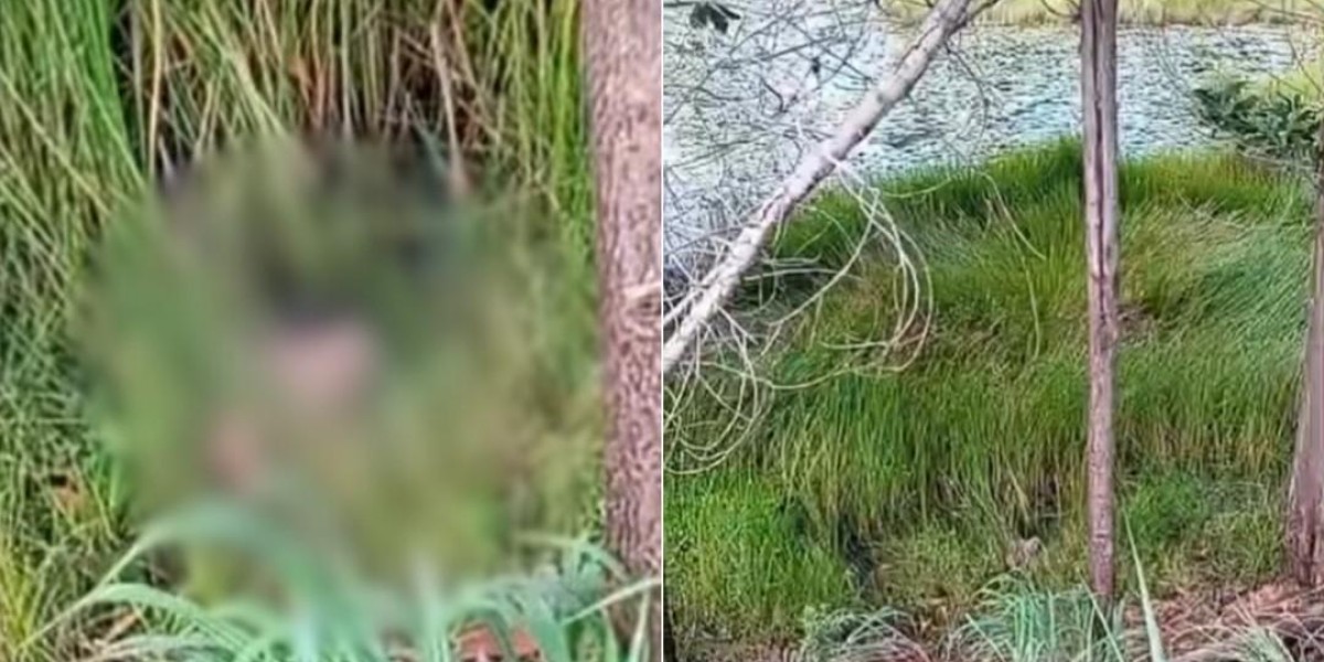 Cabeça humana é encontrada às margens de córrego na zona rural de Cidelândia