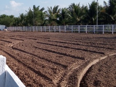 Governo do Maranhão sanciona lei que torna a vaquejada prática desportiva e cultural no Estado