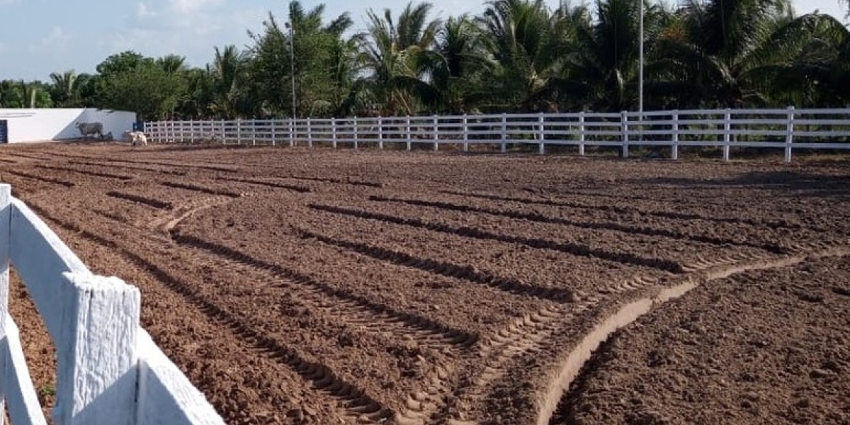 Governo do Maranhão sanciona lei que torna a vaquejada prática desportiva e cultural no Estado
