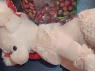 Idoso que usava brinquedos e doces para aliciar crianças é preso em Igarapé do Meio