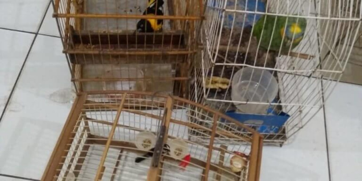 Armas de fogo e animais silvestres são apreendidos em São João do Sóter