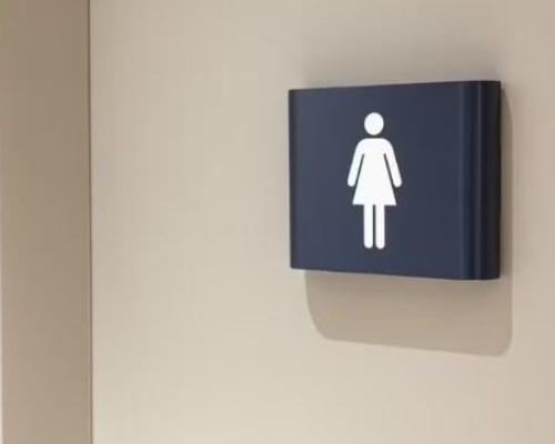 Lei que restringe uso de banheiros femininos por mulheres trans entra em vigor em Teresina