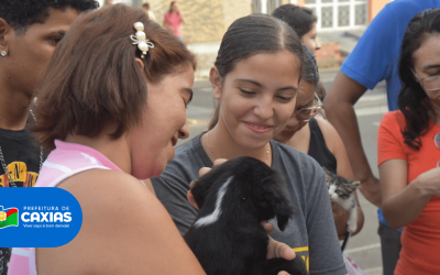 Feirinha de Adoção de Animais é realizada na Praça Dom Luís Marelim