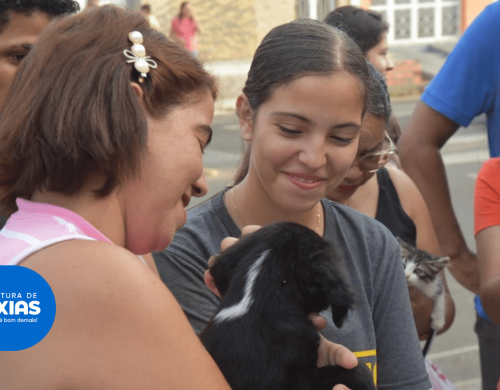 Feirinha de Adoção de Animais é realizada na Praça Dom Luís Marelim