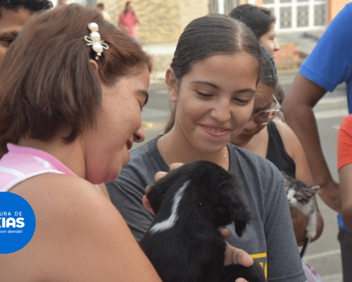 Feirinha de Adoção de Animais é realizada na Praça Dom Luís Marelim