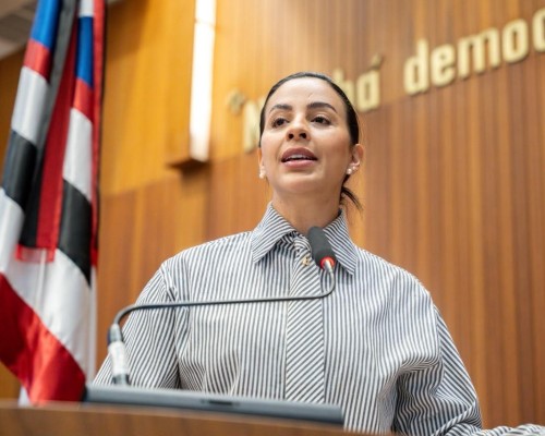 Daniella retorna ao Parlamento cobrando retomada das obras da Avenida Pirajá, em Caxias