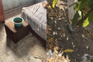 Filho é preso suspeito de abandonar mãe de 96 anos em casa com ratos mortos no Maranhão