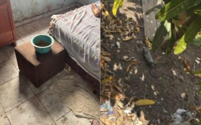Filho é preso suspeito de abandonar mãe de 96 anos em casa com ratos mortos no Maranhão