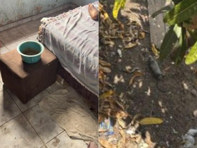 Filho é preso suspeito de abandonar mãe de 96 anos em casa com ratos mortos no Maranhão