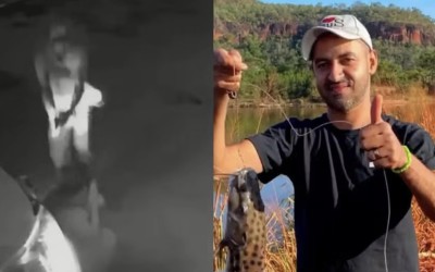 Mulher é baleada dias após obter medida protetiva contra ex em Balsas; suspeito está foragido