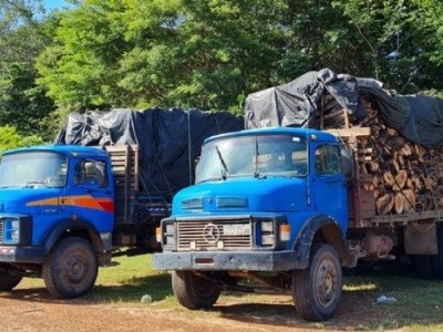 Carga ilegal de madeira é apreendida em dois caminhões na BR-316 em Caxias 