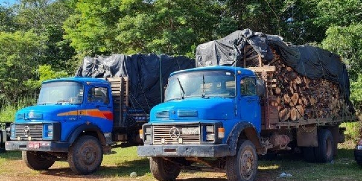 Carga ilegal de madeira é apreendida em dois caminhões na BR-316 em Caxias 