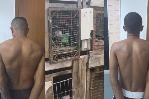 Polícia prende foragidos e suspeito de promover rinha de galos em Timon