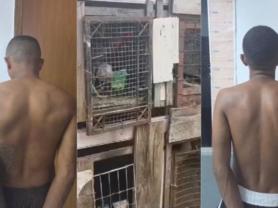 Polícia prende foragidos e suspeito de promover rinha de galos em Timon