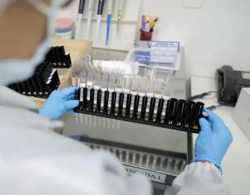 Vacina 100% brasileira contra malária avança para testes em humanos