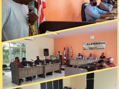 Durante sessão na Câmara de Vereadores, Presidente do Conselho Tutelar apresentou relatório anual das atividades referente a 2020 em Gonçalves Dias   