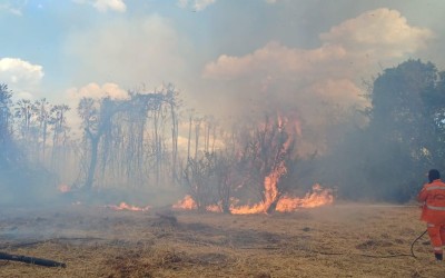 Piauí proíbe uso do fogo em 12 municípios por risco de incêndios; veja regiões