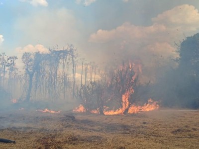 Piauí proíbe uso do fogo em 12 municípios por risco de incêndios; veja regiões