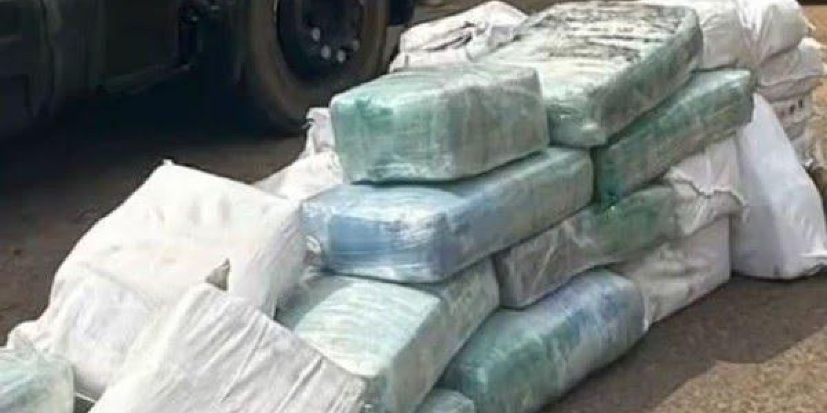 PRF encontra 924 kg de skunk em caminhão na maior apreensão de drogas já registrada no Maranhão 