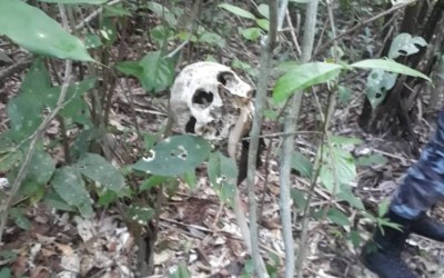 Ossada de um homem vítima de latrocínio há oito meses é encontrada em Santa Rita