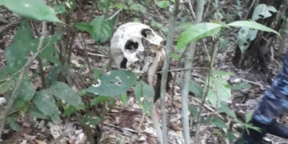 Ossada de um homem vítima de latrocínio há oito meses é encontrada em Santa Rita