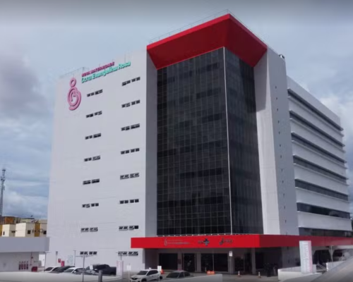 Recém-nascido sofre tentativa de 'retirada irregular' de maternidade em Teresina