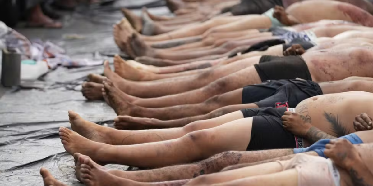 Governo do RJ confirma 121 mortos em megaoperação; moradores ainda procuram corpos em áreas de mata