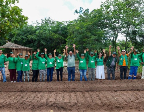 Prefeitura de Matões promove capacitação em hortaliças sustentáveis e fortalece produção no campo