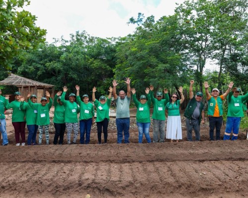 Prefeitura de Matões promove capacitação em hortaliças sustentáveis e fortalece produção no campo
