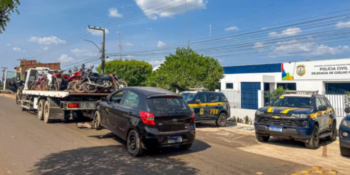 Operação da PRF e Polícia Civil recupera 324 veículos roubados ou adulterados no Maranhão