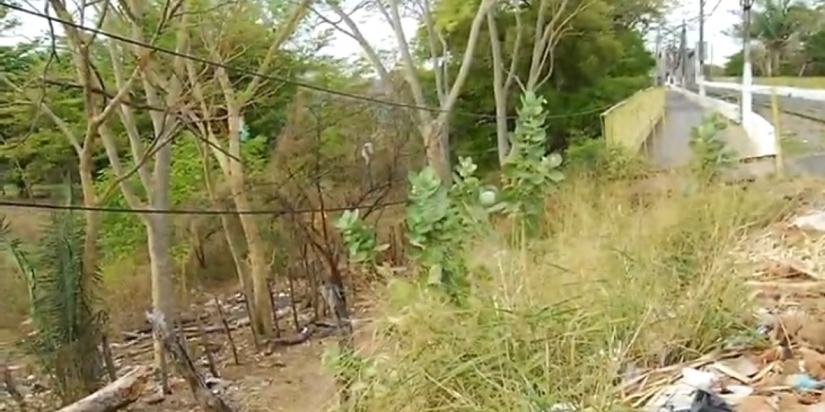 Mulher morre eletrocutada após tocar em cerca energizada em Timon