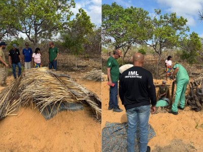 Polícia Civil exuma corpo de indígena em investigação de possível estupro coletivo e feminicídio