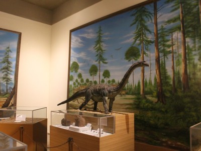 Novo dinossauro maranhense é estudado 