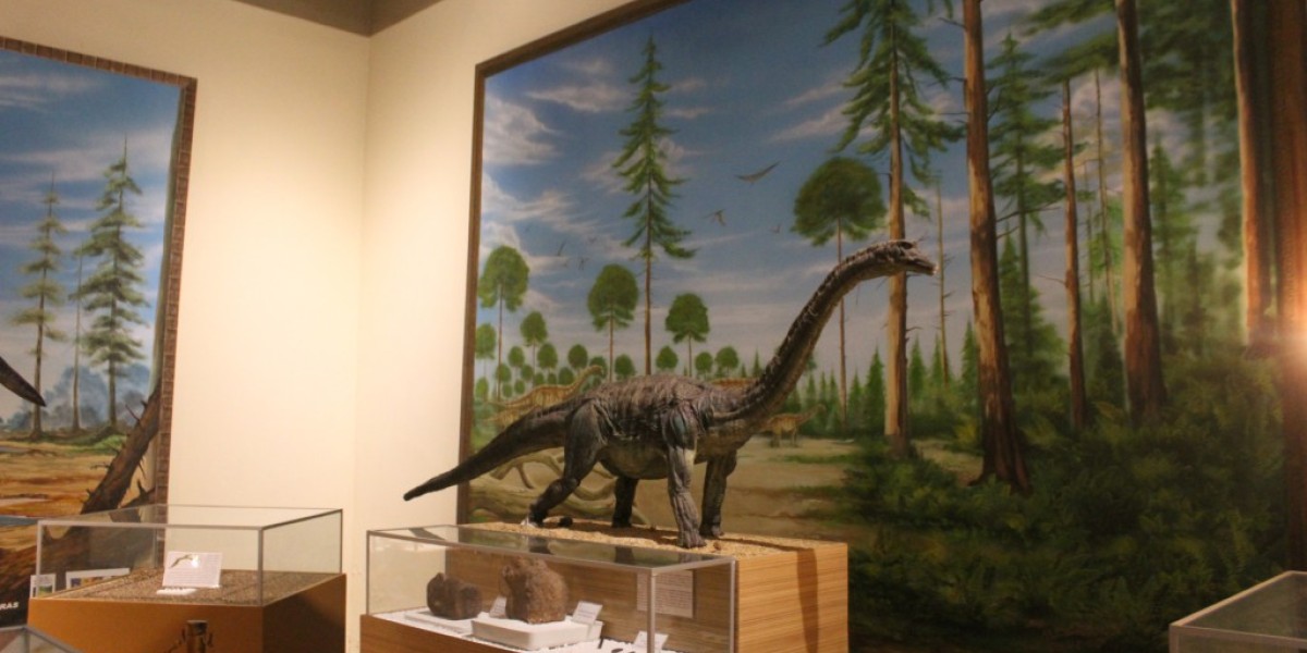 Novo dinossauro maranhense é estudado 