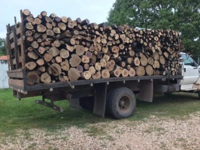 PF apreende 11 toneladas ilegais de madeira no interior do Maranhão