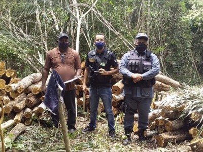Polícia Militar apreende carregamento de madeira ilegal em São João do Sóter